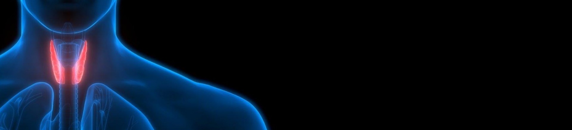 Centrum Leczenia Tarczycy