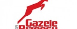 Gazele Biznesu